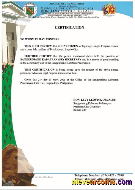 Philippines certificate of good standing, version 8